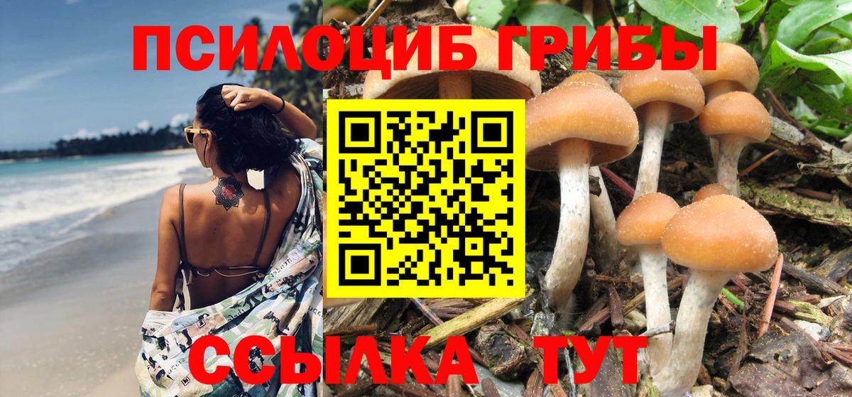 Псилоцибиновые грибы Psilocybe  купить наркотик  Галлюциногенные грибы Cubensis  Назрань  Вход с VPN 
